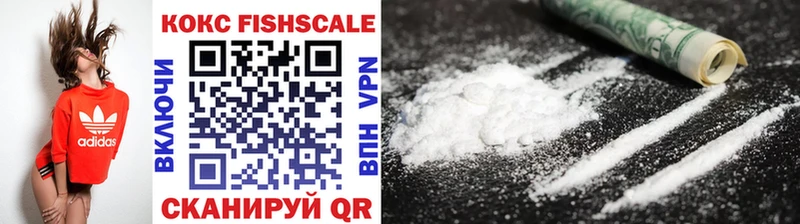 Купить закладки  Бокситогорск  Cocaine Fish Scale 
