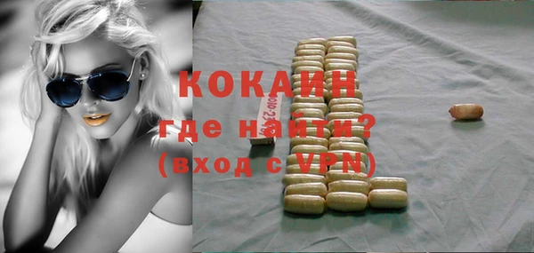 хмурый Аркадак