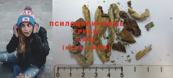 тгк Арсеньев