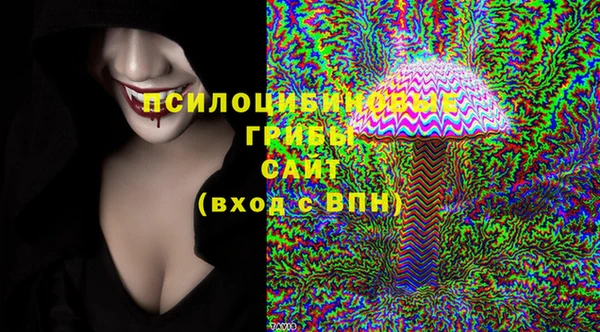 хмурый Аркадак