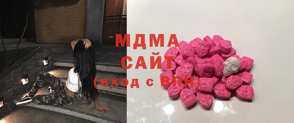 хмурый Аркадак
