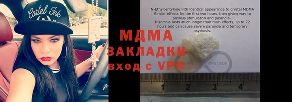 хмурый Аркадак