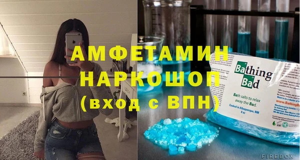 хмурый Аркадак