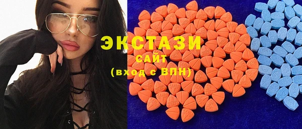 хмурый Аркадак