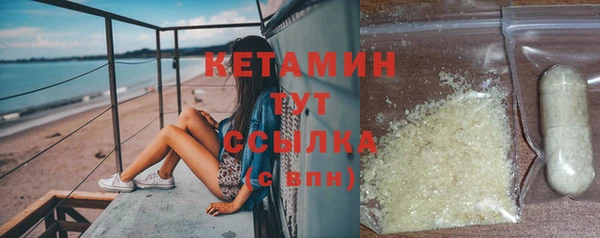хмурый Аркадак