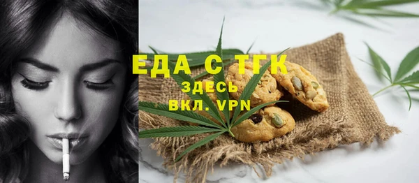 хмурый Аркадак