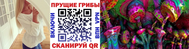 Купить где  Бокситогорск  Галлюциногенные грибы Cubensis 