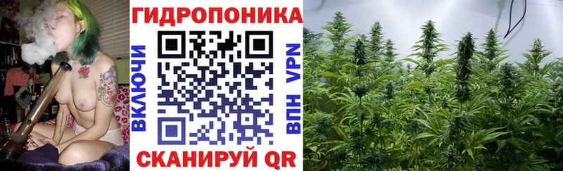 МАРИХУАНА планчик  Купить где  Бокситогорск 
